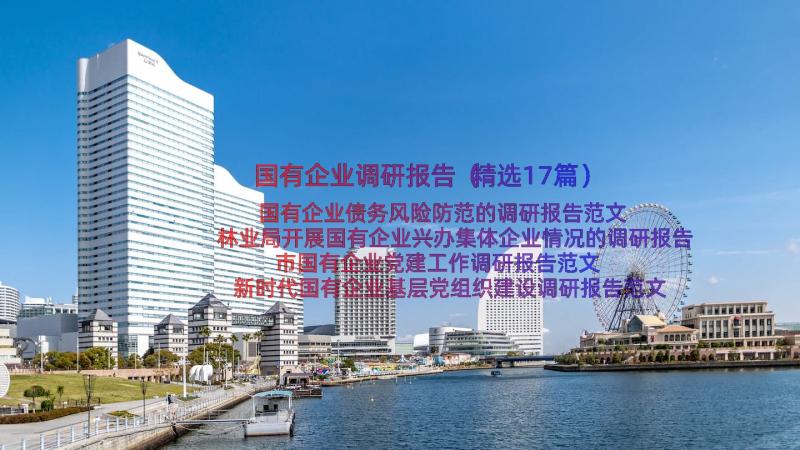 国有企业调研报告（精选17篇）