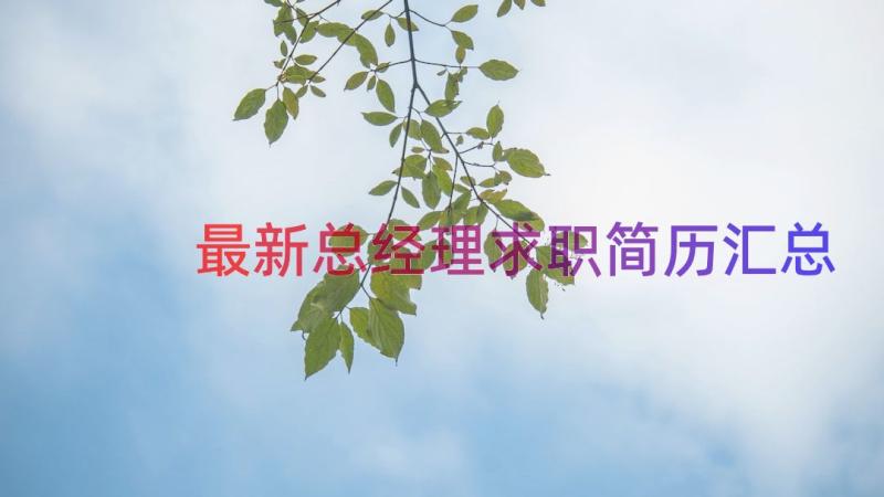 最新总经理求职简历（汇总13篇）