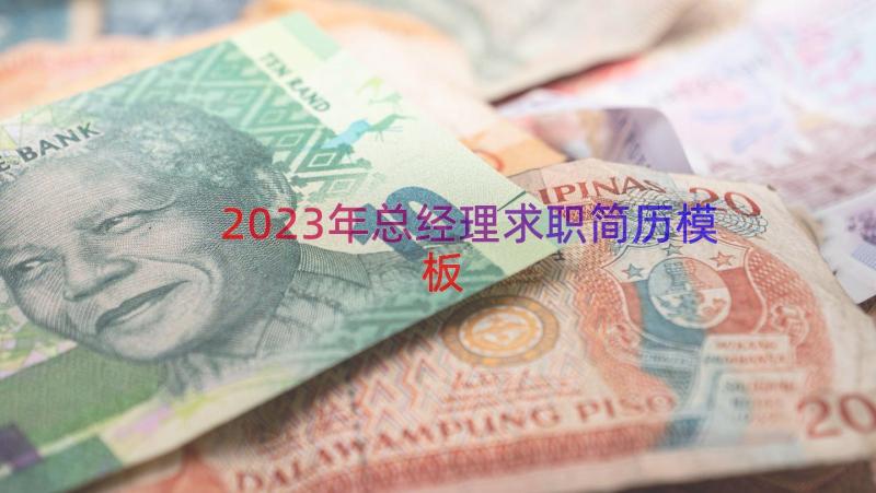 2023年总经理求职简历（模板16篇）