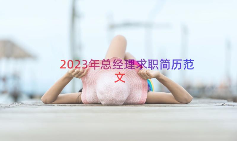 2023年总经理求职简历范文（16篇）