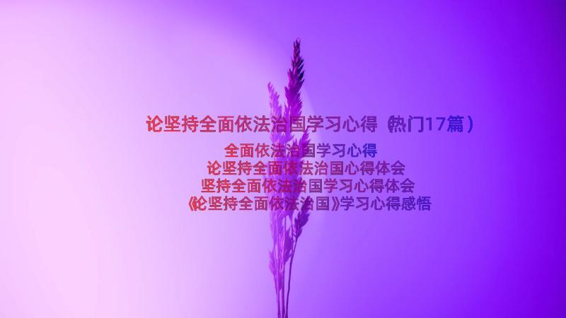 论坚持全面依法治国学习心得（热门17篇）