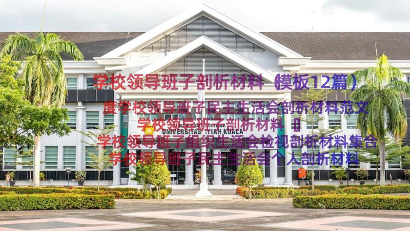 学校领导班子剖析材料（模板12篇）