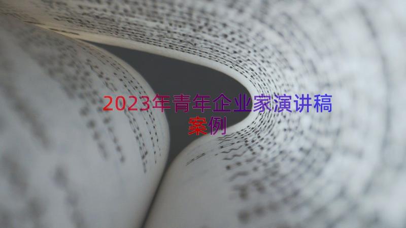 2023年青年企业家演讲稿（案例14篇）