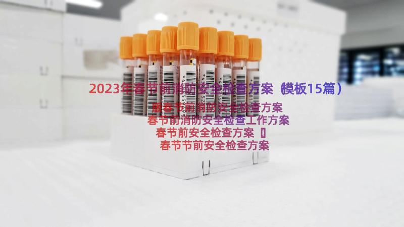 2023年春节前消防安全检查方案（模板15篇）