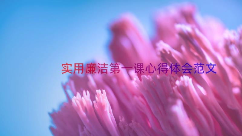 实用廉洁第一课心得体会范文（15篇）