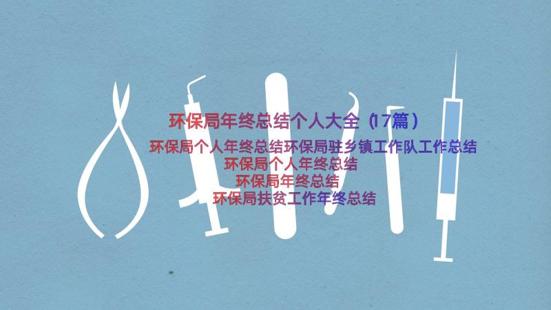 环保局年终总结个人大全（17篇）