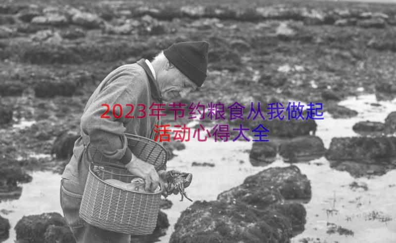 2023年节约粮食从我做起活动心得大全（14篇）