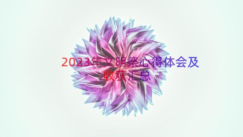 2023年文明祭心得体会及收获（汇总17篇）