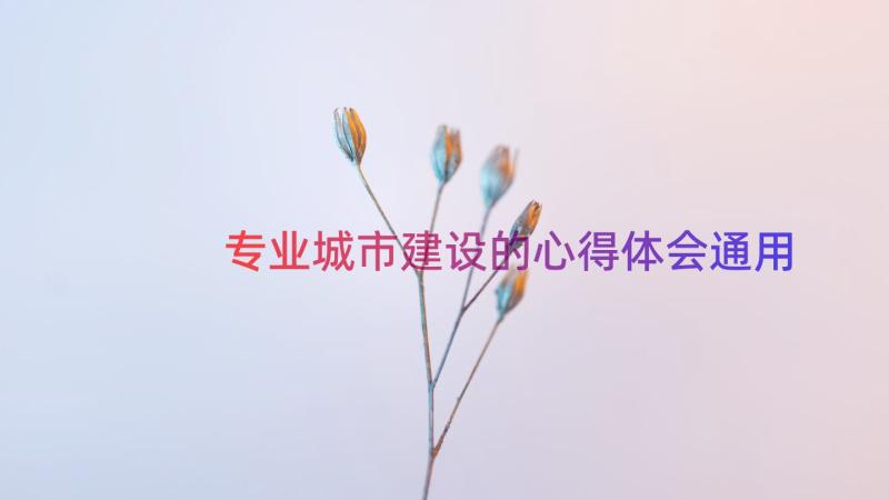 专业城市建设的心得体会（通用15篇）