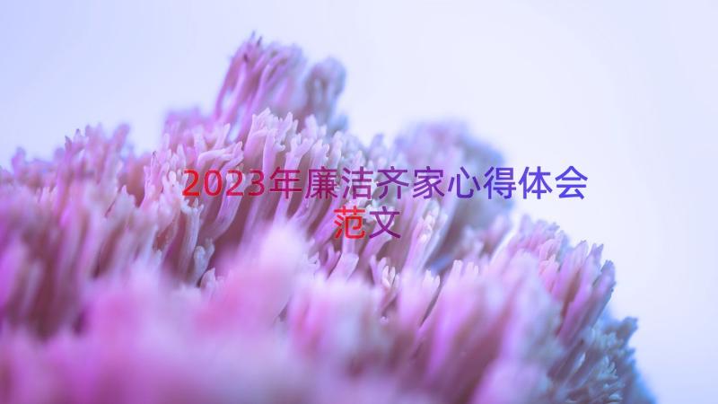 2023年廉洁齐家心得体会范文（13篇）