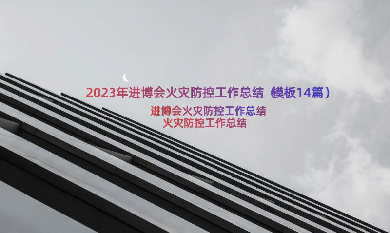 2023年进博会火灾防控工作总结（模板14篇）