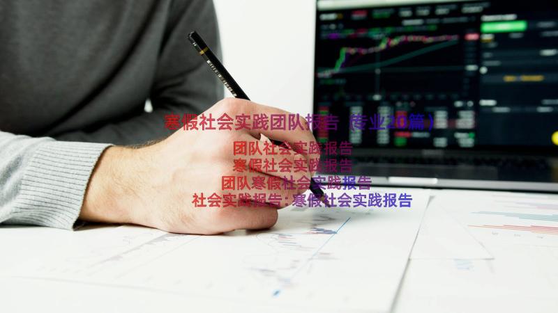 寒假社会实践团队报告（专业20篇）