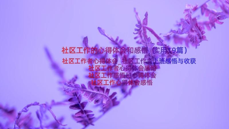 社区工作的心得体会和感悟（实用19篇）