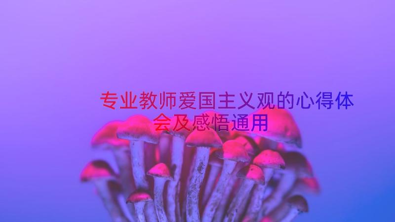 专业教师爱国主义观的心得体会及感悟（通用13篇）