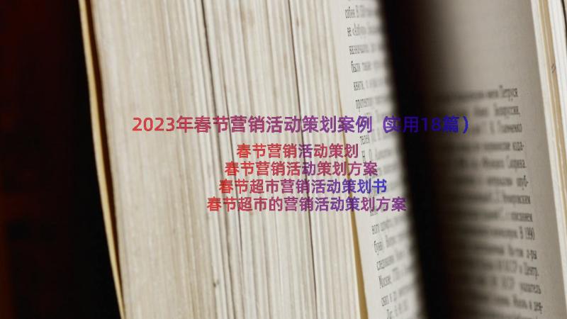 2023年春节营销活动策划案例（实用18篇）