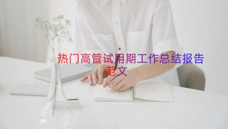 热门高管试用期工作总结报告范文（15篇）