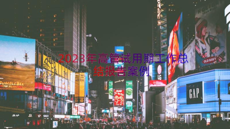 2023年高管试用期工作总结报告（案例16篇）