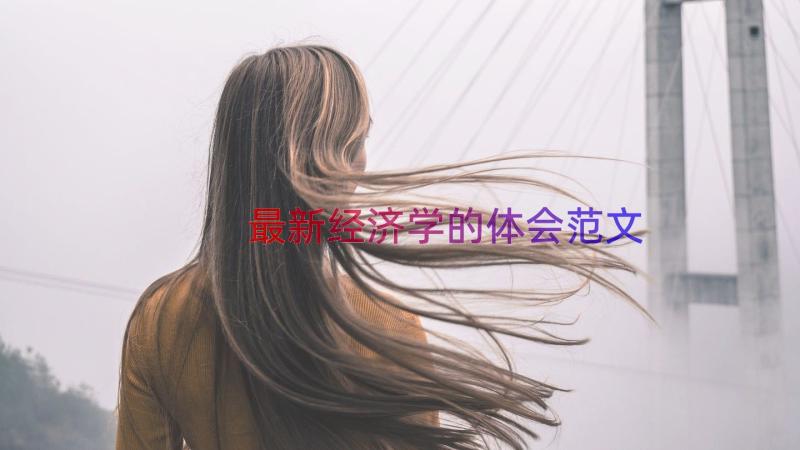 最新经济学的体会范文（19篇）