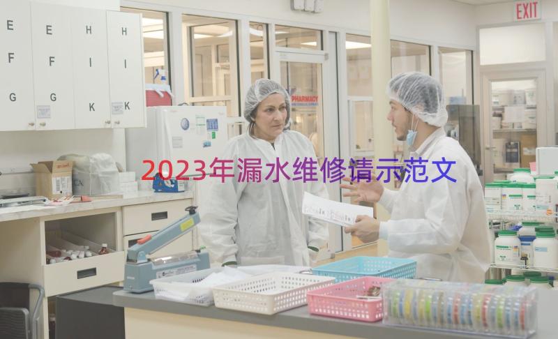 2023年漏水维修请示范文（13篇）