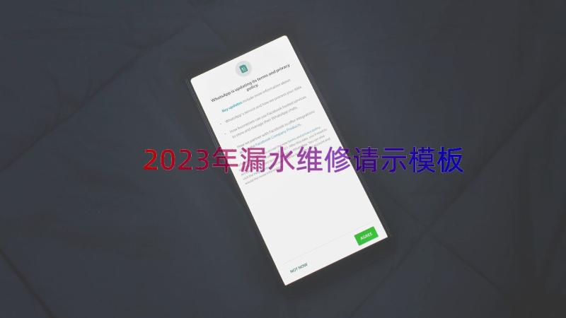 2023年漏水维修请示（模板15篇）