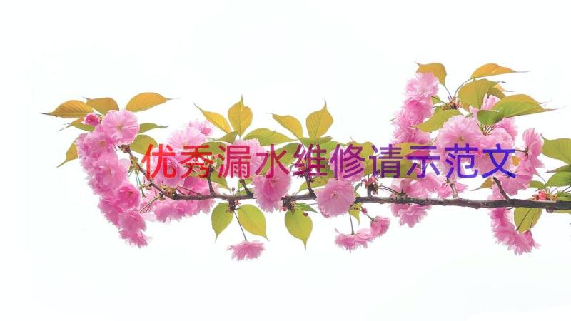 优秀漏水维修请示范文（19篇）