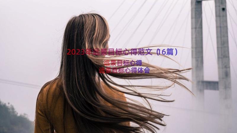 2023年远景目标心得范文（16篇）