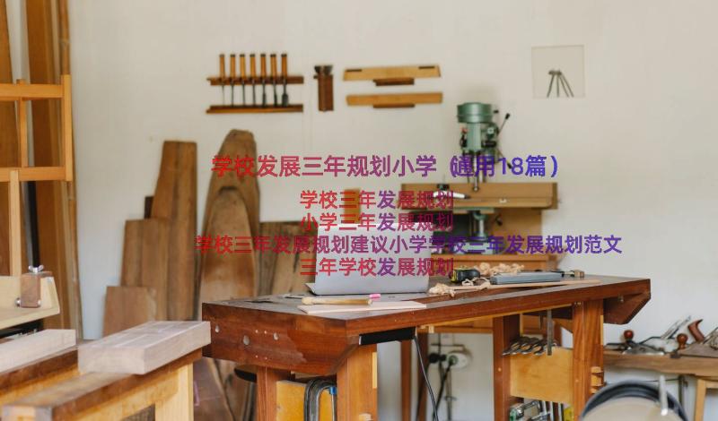 学校发展三年规划小学（通用18篇）