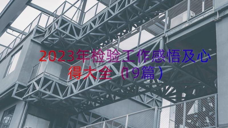 2023年检验工作感悟及心得大全（19篇）