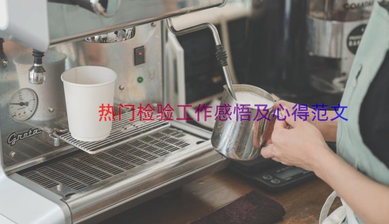 热门检验工作感悟及心得范文（15篇）