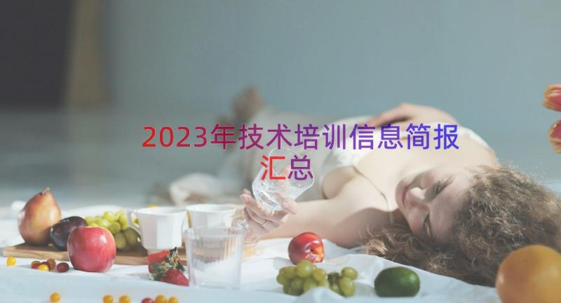 2023年技术培训信息简报（汇总16篇）