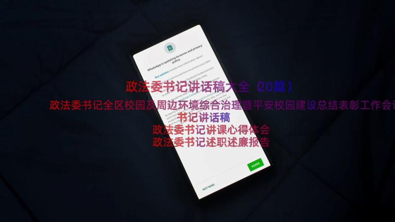 政法委书记讲话稿大全（20篇）