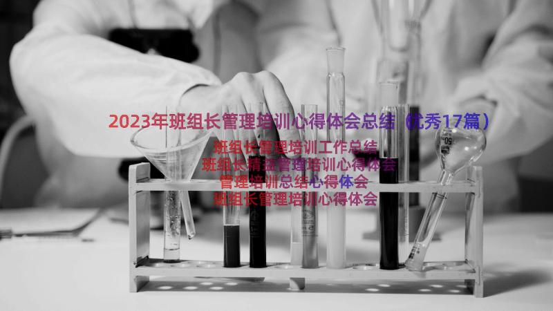 2023年班组长管理培训心得体会总结（优秀17篇）