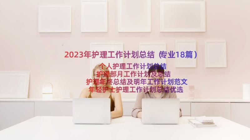 2023年护理工作计划总结（专业18篇）