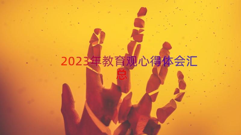 2023年教育观心得体会（汇总17篇）