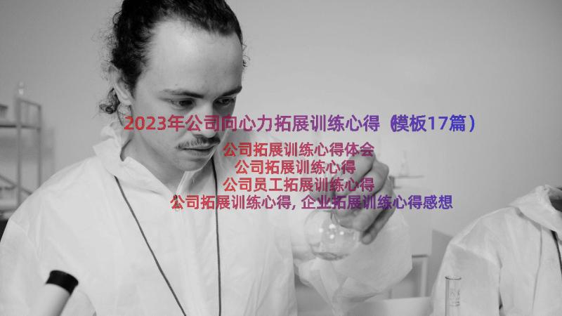 2023年公司向心力拓展训练心得（模板17篇）