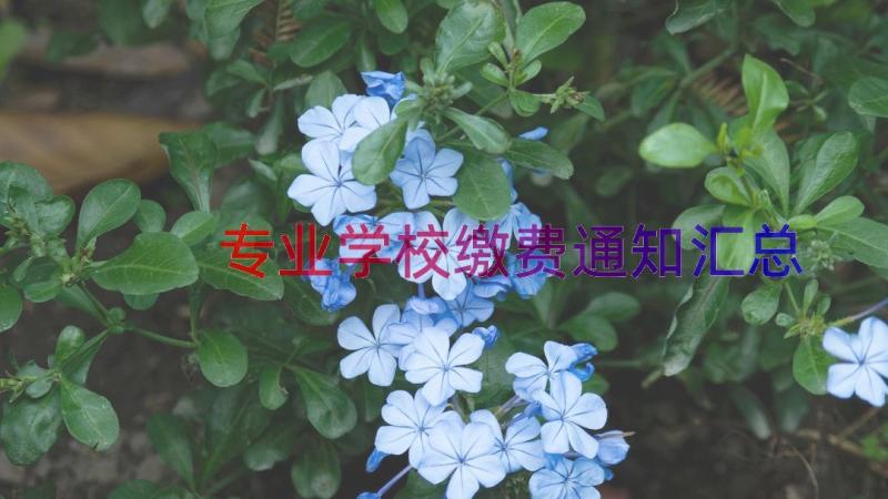 专业学校缴费通知（汇总12篇）