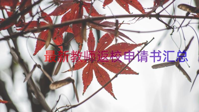 最新教师返校申请书（汇总15篇）