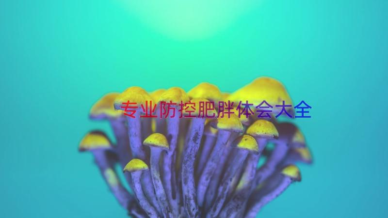 专业防控肥胖体会大全（18篇）