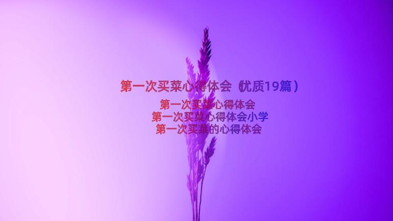 第一次买菜心得体会（优质19篇）