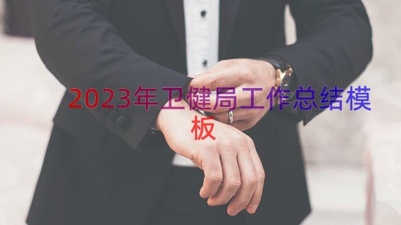 2023年卫健局工作总结（模板13篇）