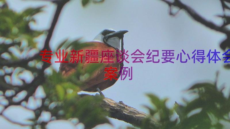 专业新疆座谈会纪要心得体会（案例18篇）