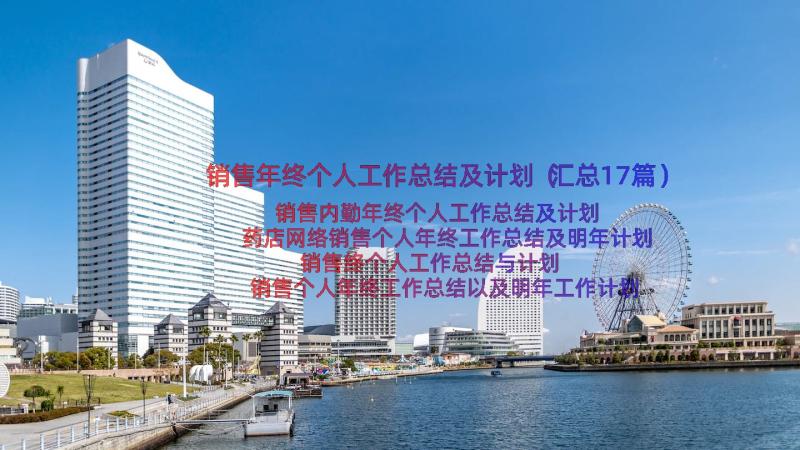 销售年终个人工作总结及计划（汇总17篇）