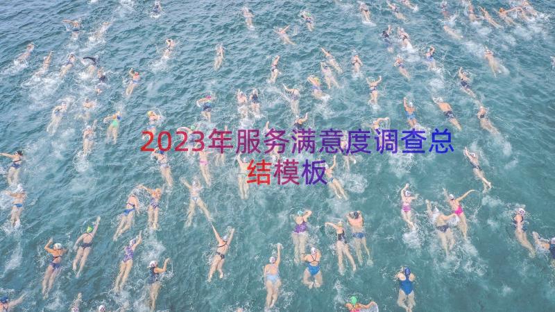 2023年服务满意度调查总结（模板14篇）