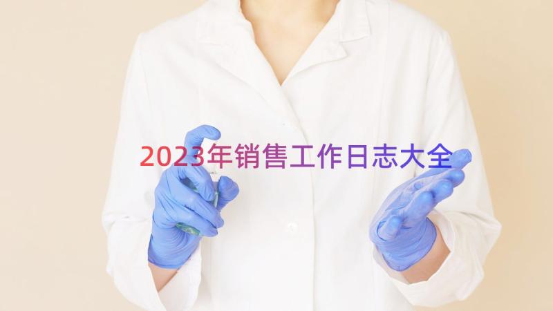 2023年销售工作日志大全（14篇）