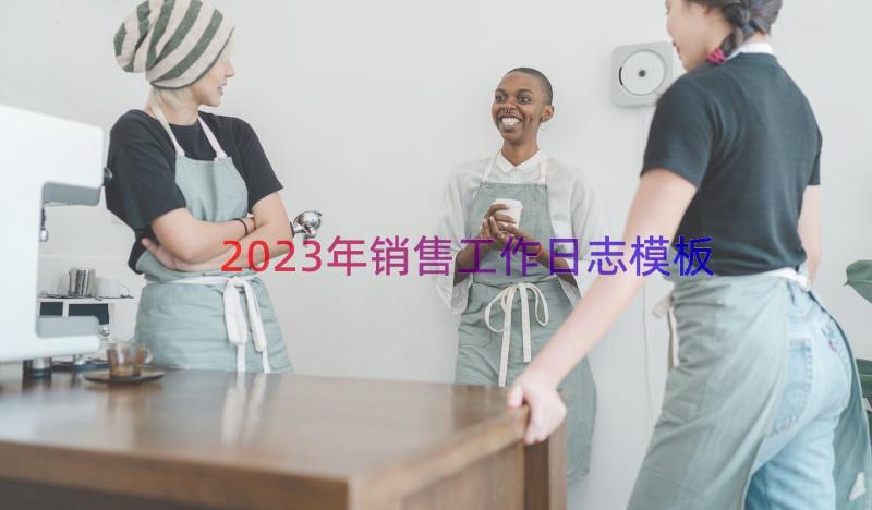 2023年销售工作日志（模板19篇）