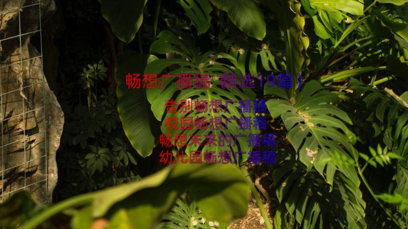 畅想广播稿（精选19篇）