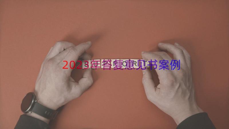 2023年答复意见书（案例15篇）