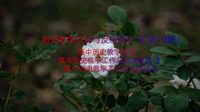 历史教学总结与反思高中（汇总19篇）