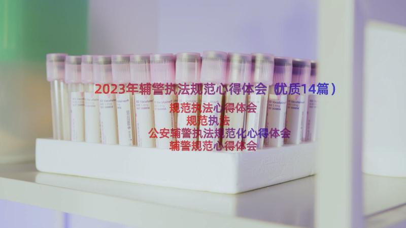 2023年辅警执法规范心得体会（优质14篇）