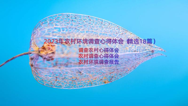 2023年农村环境调查心得体会（精选18篇）